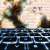 From Chaos to Clarity: Tech That Streamlines Workflow